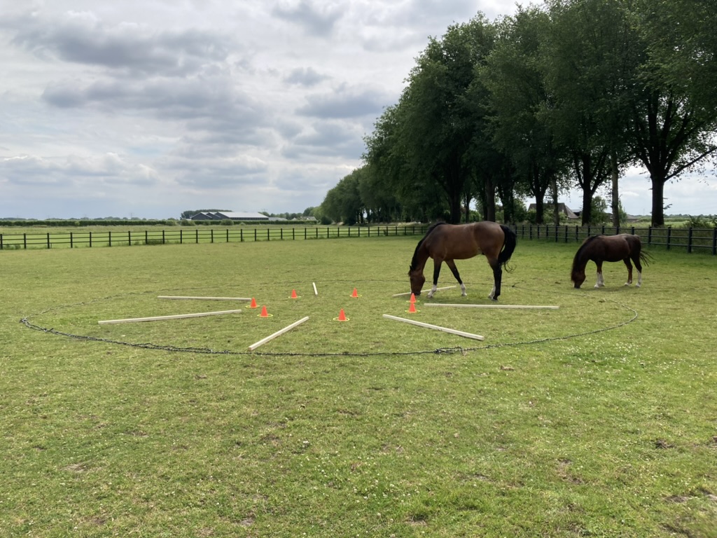 startopstelling teamcoachsessie